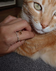 Ring Allumette